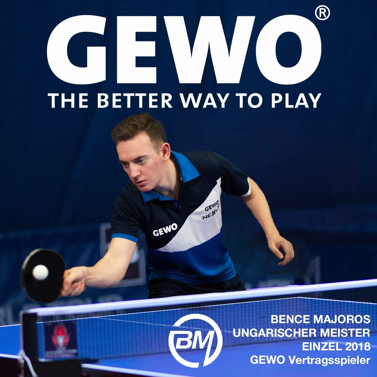 GEWO AWR Outdoor 40+ Pelotas de Ping Pong de Mesa para Exteriores, Impermeable, 40mm, 6 Unidades