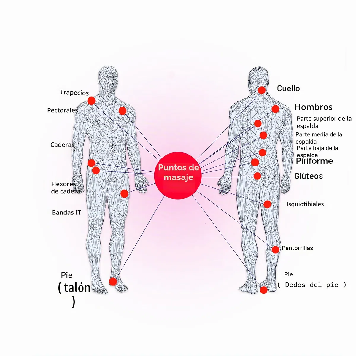 PROTONE Lacrosse Bola para Punto de activación Masaje/rehabilitación/Fisioterapia/Crossfit (Azul)